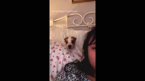 After adoption, the first night was spent at home.🥰🐶