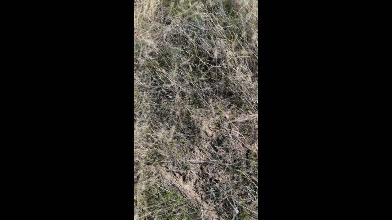 Rockhounding at The Graveyard!