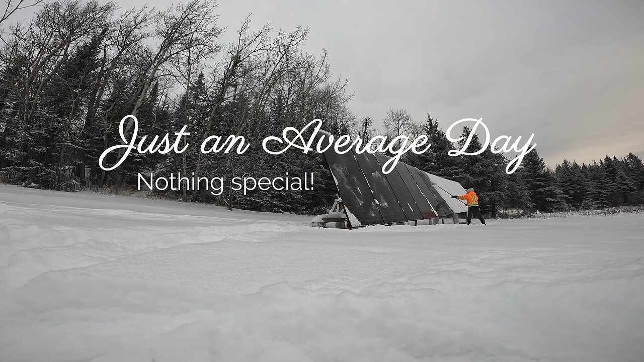 Life in NWO | Average day