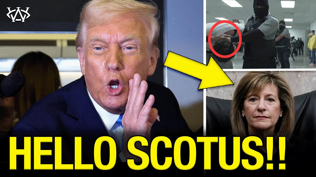 Trump APPEALS Obama Judge; 20 States Support Birthright BAN; Lib Lawyers ABANDON Friends!