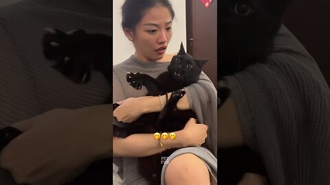 Funny Animals #funnyanimals #animals #pets #shorts