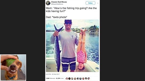Memes That Will 99.0334% Make You Laugh. (e558)