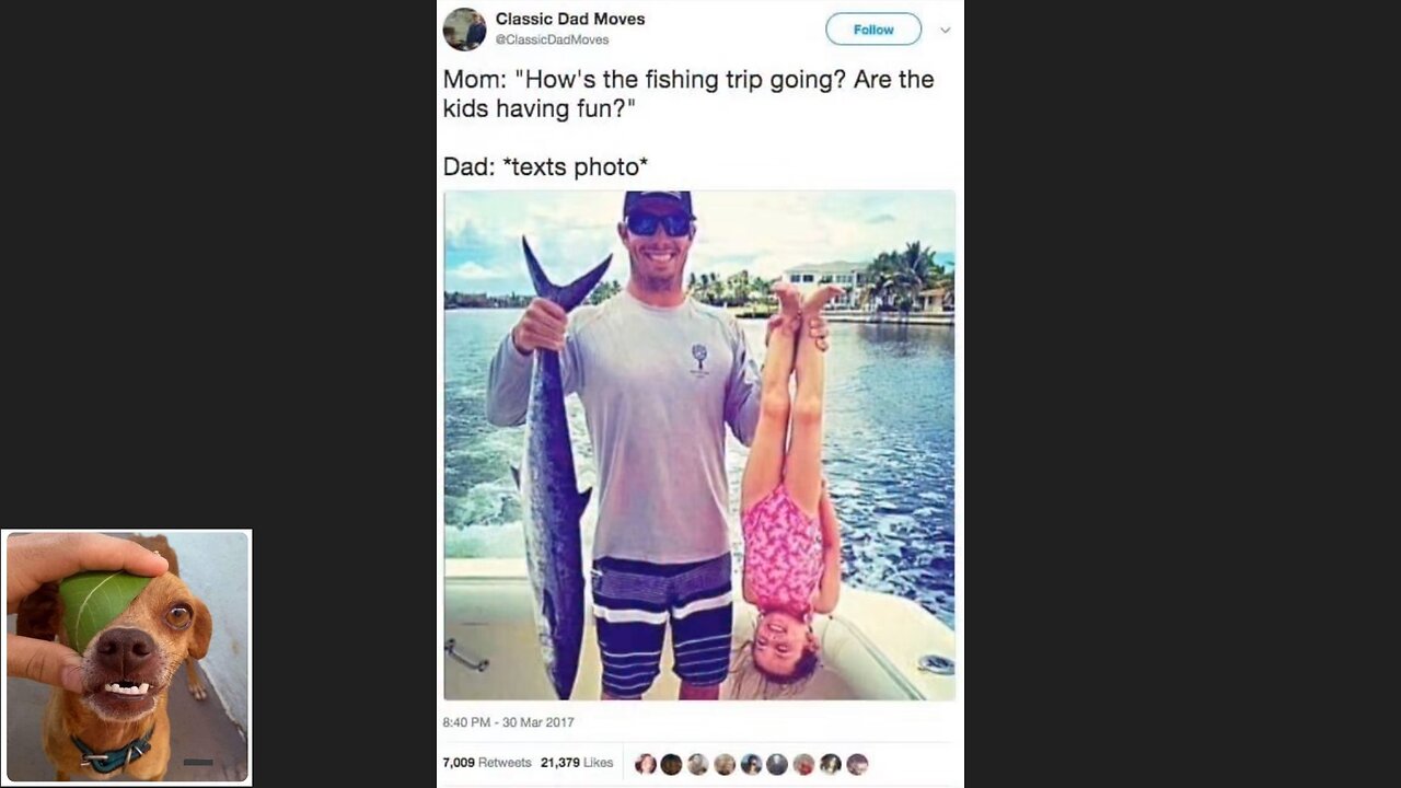 Memes That Will 99.0334% Make You Laugh. (e558)