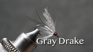 Gray Drake: a trout fly pattern from Favorite Flies and Their Histories by Mary Orvis Marbury