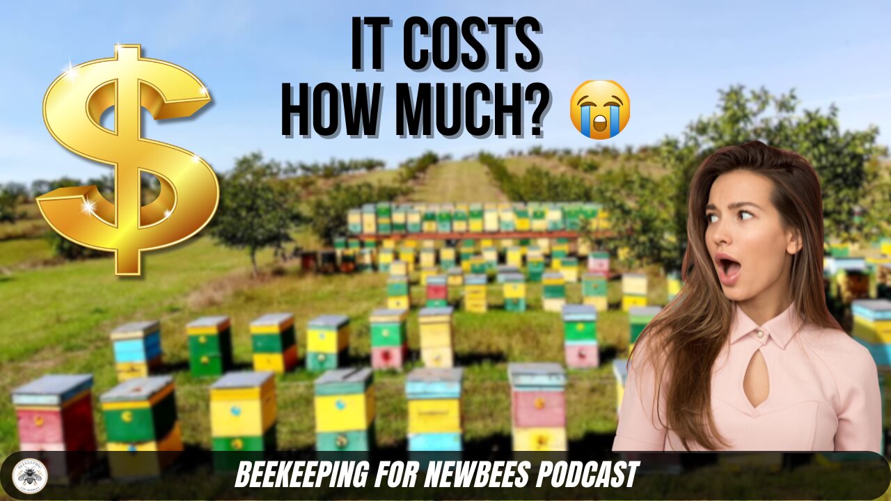 Beekeeping Costs Are INSANE! 😱 Don’t Start Until You See This!