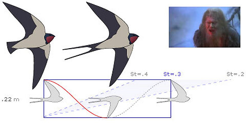 The Flight Velocity of an Unladen African Swallow