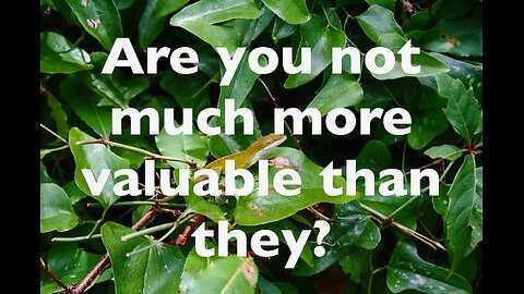 How Valuable Are You? Matthew 6: 25-27