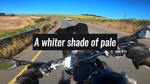 "A Whiter Shade of Pale" by Procol Harum