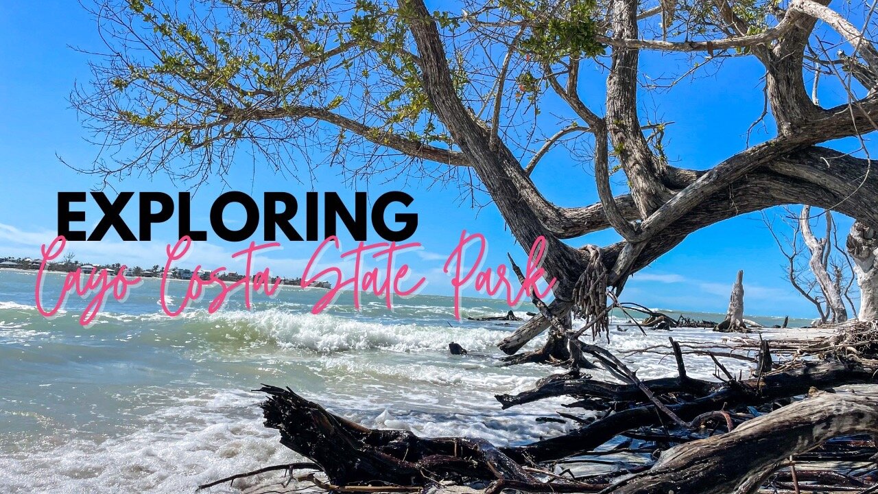 The most underrated island in Southwest Florida: Cayo Costa State Park