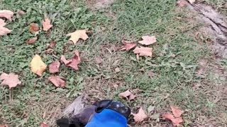 😂 I Just Wanted to Weedwhack... | FunFM
