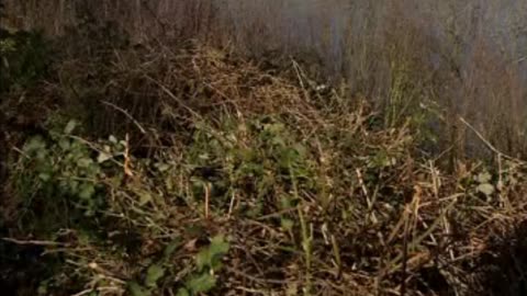 FABRYKI ŚMIERCI dokument pl