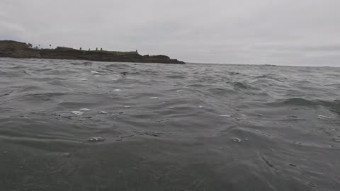 Underwater PART 2 4K Bird Rock Cove #reef #ocean #underwater San Diego California