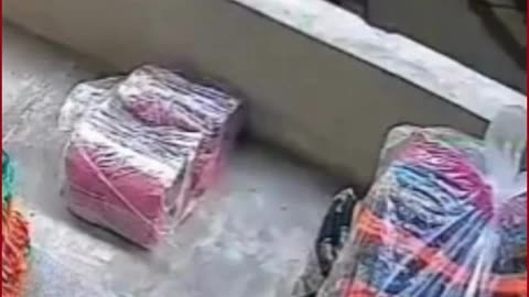 Shocking Fall in Jodhpur: Man Tumbles from 3rd Floor, Video Viral