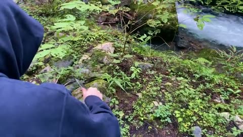 Cooking Sirloin Steak with Bacon Potatoes in the Nature
