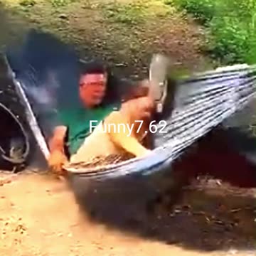 Strange and funny behavior of animals