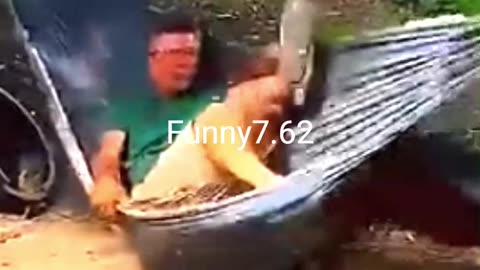 Strange and funny behavior of animals