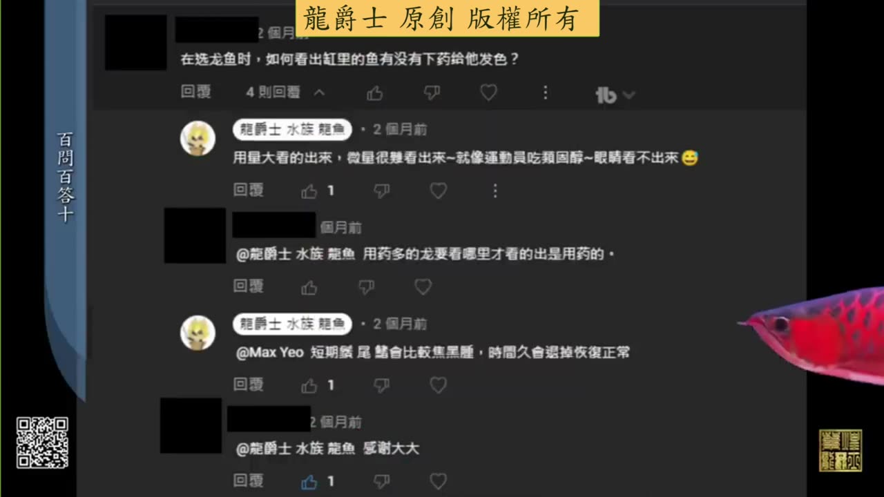 【龍爵士】千問千答 Q101 選龍魚時要如何判斷是否下藥發色