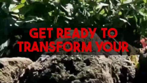 AI Garden Crash Course: Your Perfect Plan is Ready at gardenplanbyai.com.