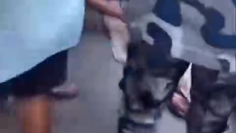 HORRIFYING FOOTAGE: Wife of Nepal ex-PM Khanal BURNS ALIVE amid Gen Z protests