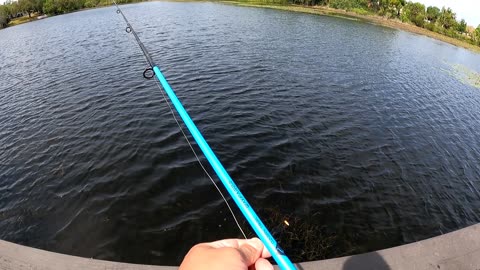 Bass Fishing in Springtime