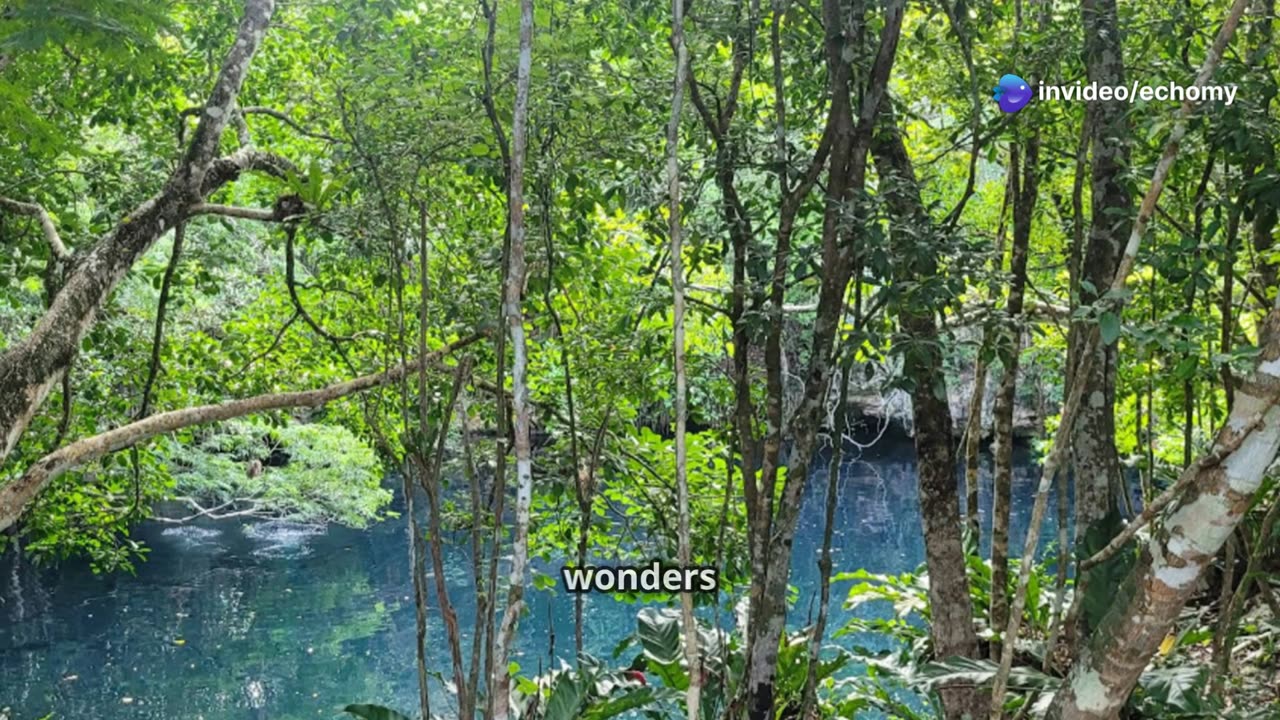 Dive into the Mystical Two-Tiered River of Cenote Angelita! #travel #explore #history