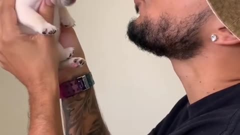 Tiny Pup Tries to Bark Like His Owner 😄 | Cățelul micuț vrea să latre ca stăpânul!