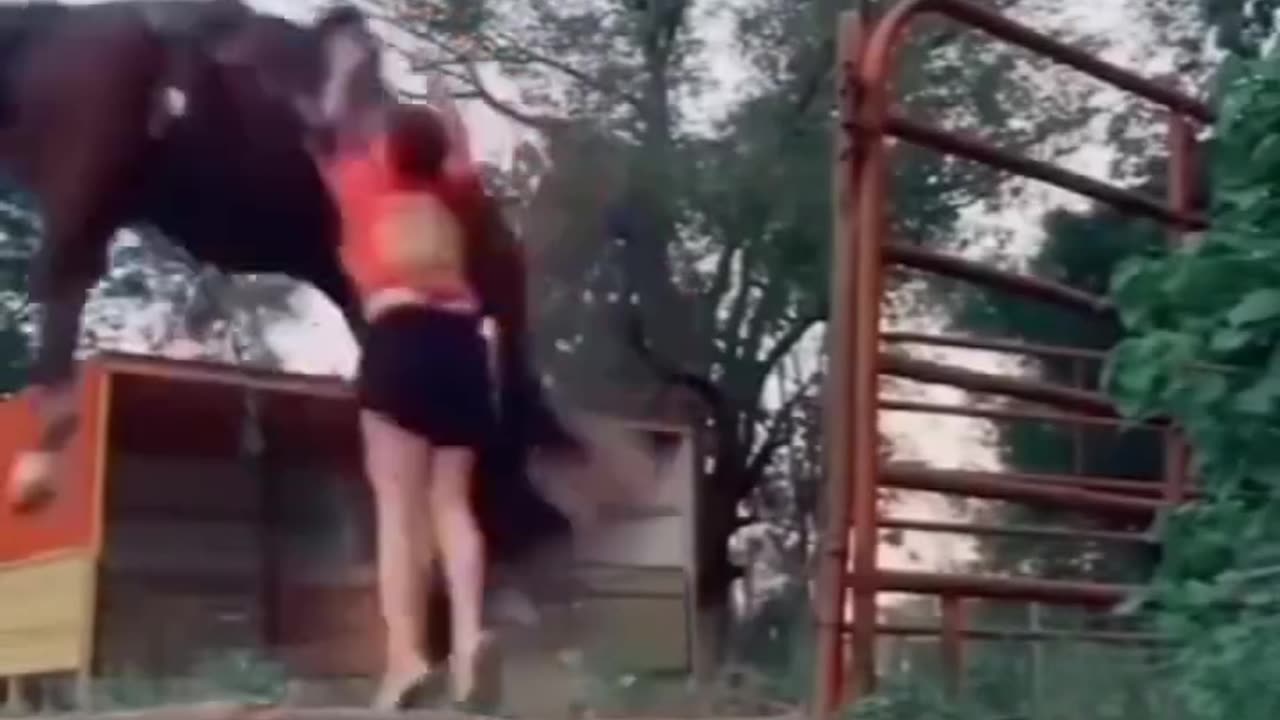 Funny video 📷📸