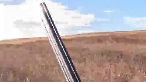 Colorado Pheasant Hunt Preview | Simple Hunts S69 #hunting #birdhunting #birddog