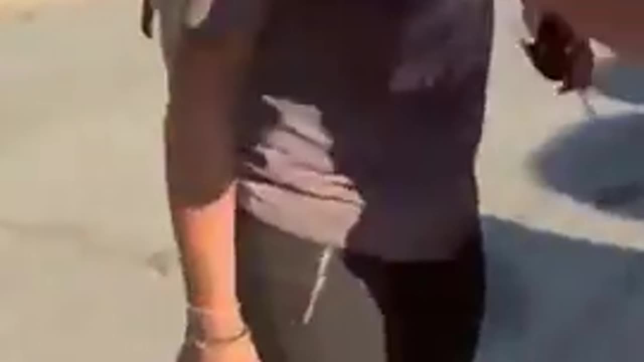 looks like Sheboon's dead
