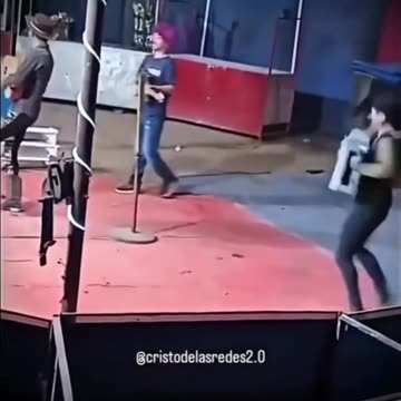 "Stupid is as stupid does".