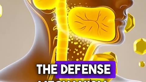 The Monocyte Mystery: How Immune Cells Reveal Your Hidden Vitamin C Deficiency