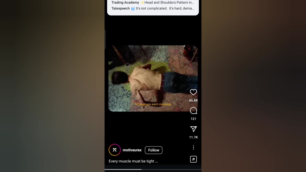 Real Reels - YTUS157