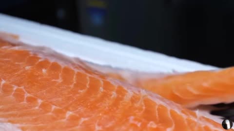 Sushi Food Japan Tour