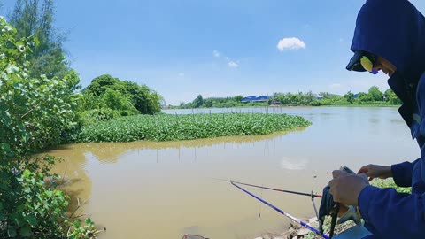 Morgen am Fluss Angeln pur #Morgenangeln #Süßwasser #Angelglück