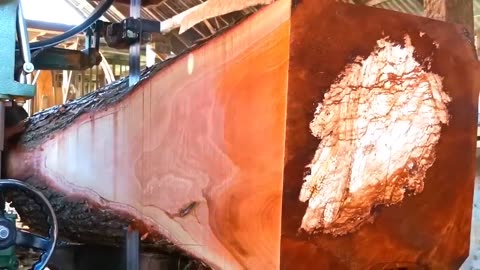 Amazing! The large wood processing