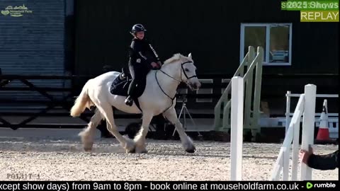 Mousehold Farm All Weather Riding arena