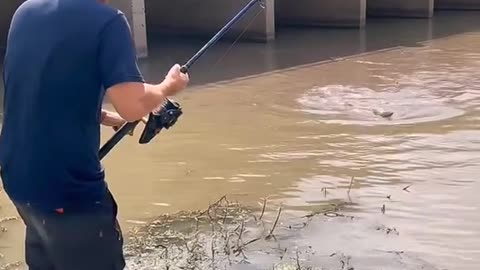 You’ve Never Seen a Reel Snap Like This