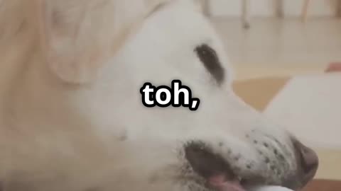 The Boy Who Couldn’t Find His Shoes! 👟😂 | Relatable Kids Story #kids #shorts