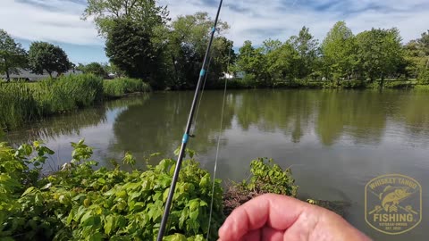 Chatterbait Fails to Get the Job Done. Big Soft Plastics Come Through Again!