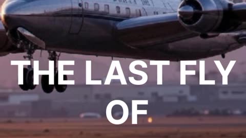 THE LAST FLY OF FLIGHT 251