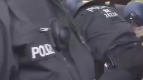 #Germany, assaulted a pro-Palestine protester.