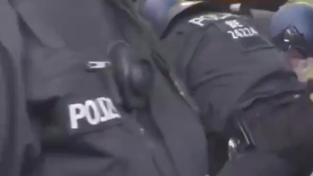 #Germany, assaulted a pro-Palestine protester.