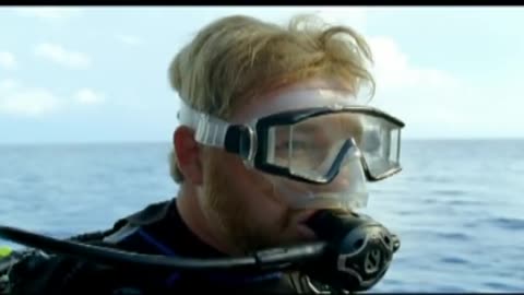 Commercial Starring the Shark Wrangler