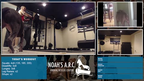 LBL Session w/Hank-a-Tank [Week 18] - Leg Day // Animal Rescue Stream :)