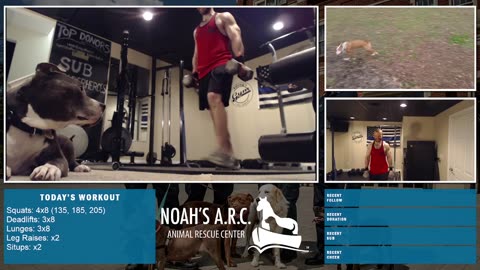 LBL Session w/Hank-a-Tank [Week 18] - Leg Day // Animal Rescue Stream :)