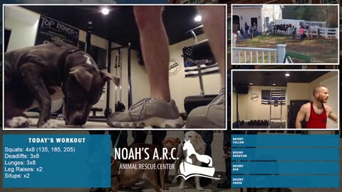 LBL Session w/Hank-a-Tank [Week 18] - Leg Day // Animal Rescue Stream :)