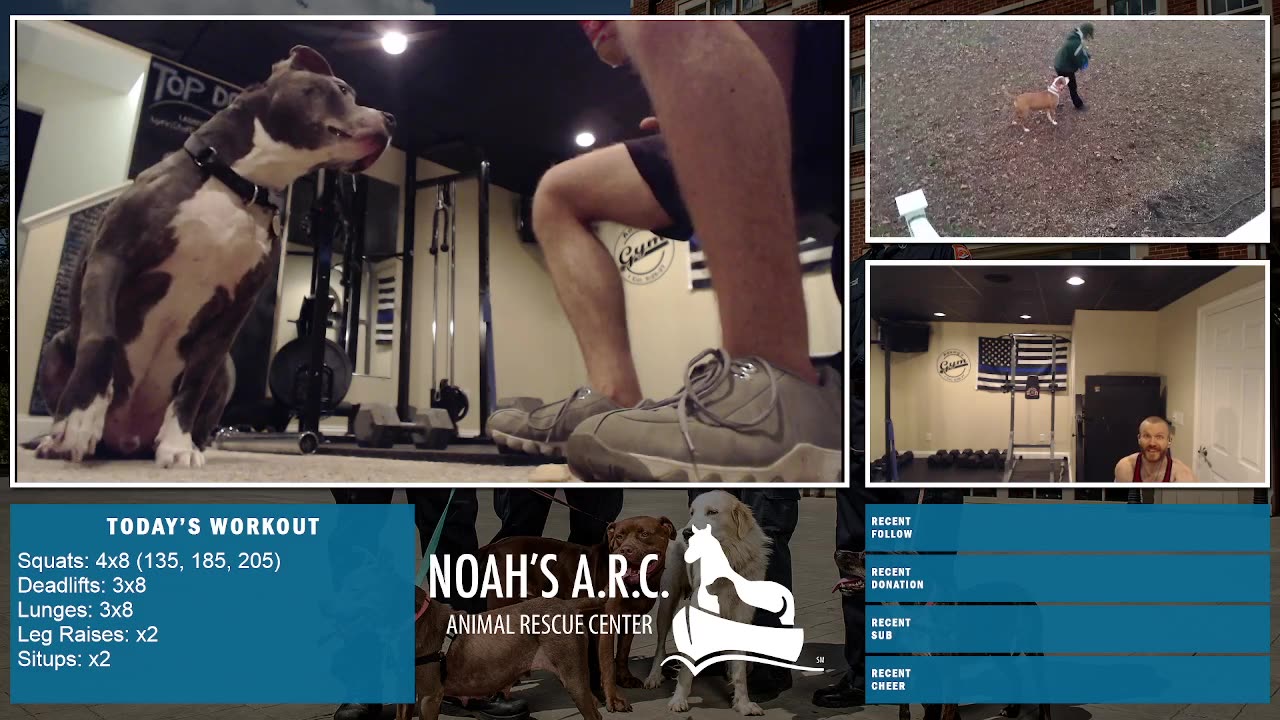 LBL Session w/Hank-a-Tank [Week 18] - Leg Day // Animal Rescue Stream :)