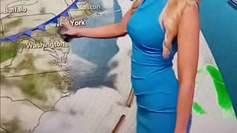 Weather girl W