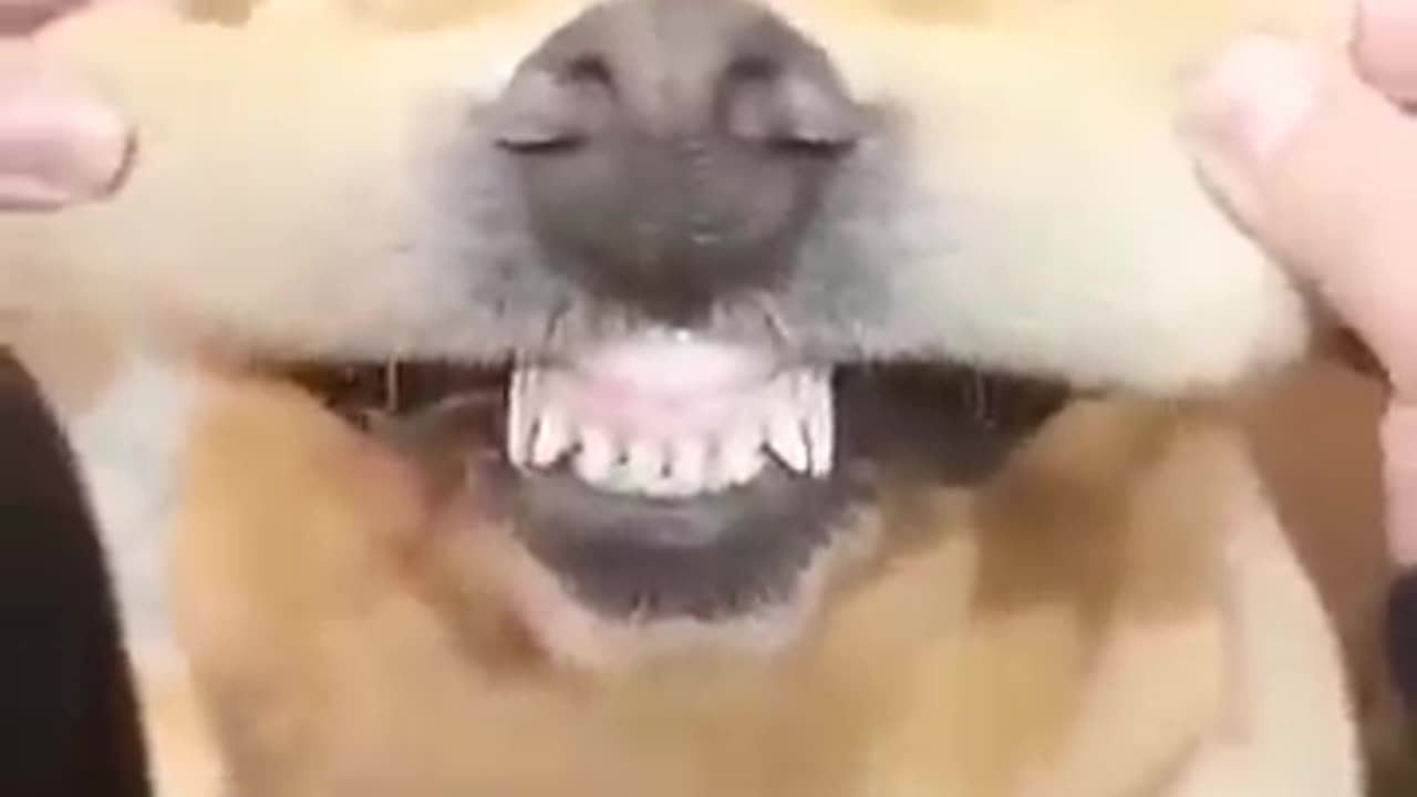 😂