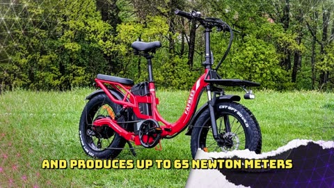 Fafrees F20 X-MAX Folding Electric Bicycle 750W Motor 48V 30Ah Battery Electric Bike